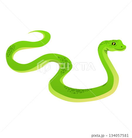 Cartoon green snake, exotic animal, terrarium pet, icon. 134057581