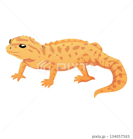 Orange iguana, vector flat exotic guana pet from jungle, cute spotted chameleon crawling mammal, tropical lizard animal 134057583