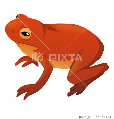 Cartoon red frog, exotic animal, isolated icon. Fauna, wildlife, zoology. 134057584