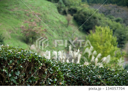 秋の里山の風景 秋の里山の風景 134057704