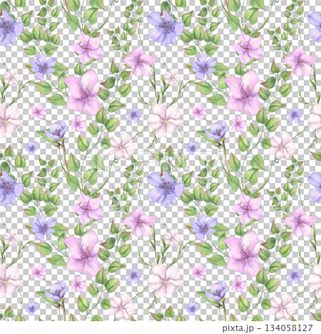 Pink and blue bindweed flowers with curling green leaf branches watercolor seamless pattern on isolated background. Spring floral ornate for wedding invitations, textile and wallpaper printing. 134058127