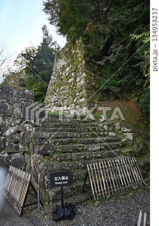 登り石垣と竪堀（彦根城） 134058237