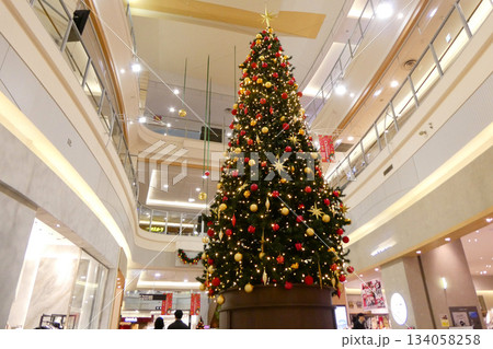 岩手県盛岡市の大型店舗のクリスマスツリーのある風景 岩手県盛岡市の大型店舗のクリスマスツリーのある風景 134058258