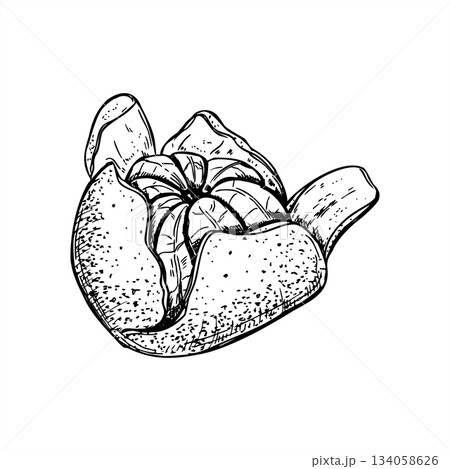 Mandarin orange with torn peel vector illustration in black ink etching style. Side view. Sweet ripe tangerine citrus graphic sketch. Hand drawn fruit element for organic stores, packaging design Mandarin orange with torn peel vector illustration in black ink etching style. Side view. Sweet ripe tangerine citrus graphic sketch. Hand drawn fruit element for organic stores, packaging design 134058626