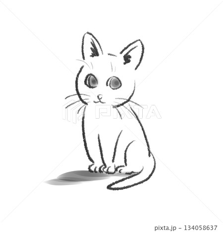 正面を向いて座る白猫のイラスト 134058637