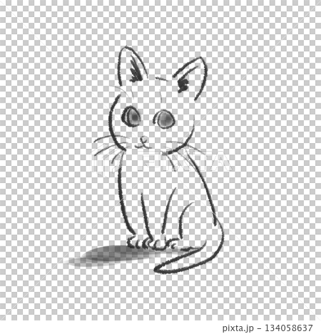 正面を向いて座る白猫のイラスト 134058637