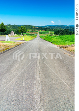 上原コスモス園 真っ直ぐな道 新潟県魚沼市吉平 上原コスモス園 真っ直ぐな道 新潟県魚沼市吉平 134058699