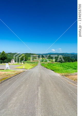 上原コスモス園　はるか地平線　新潟県魚沼市吉平 134058700