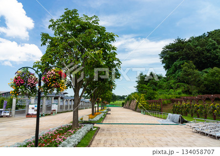 国営越後丘陵公園　入口から続く真っ直ぐの道　新潟県長岡市宮本東方町字三ツ又 134058707