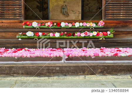 京都 霊鑑寺 春の特別拝観 美しい椿の花(京都府京都市左京区) 京都 霊鑑寺 春の特別拝観 美しい椿の花(京都府京都市左京区) 134058894