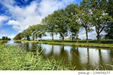 A Serene River Landscape Featuring Lush Green Trees Under a Clear Blue Sky High Above 134059277