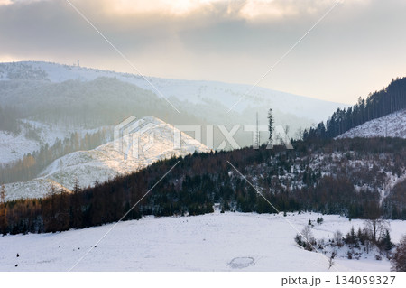 winter landscape with snow covered forested hills. carpathian mountains in cold weather under blue sky. rural scene on a sunny day. background for christmas holidays in alpine region of ukraine 134059327
