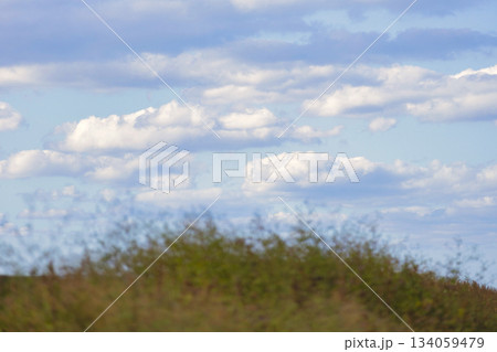 草原の風景・空 草原の風景・空 134059479