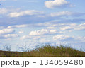 草原の風景・空 134059480