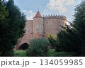森の中にある古いお城 134059985