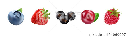 Realistic isolated berries. 3d forest berry mix, blackcurrant blueberry blackberry raspberry strawberry cranberry sweet fruit nature healthy food garden plant vector illustration 134060097