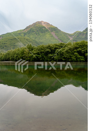 上高地自然遊歩道 森林浴ウォーキング 大正池に映る焼岳 上高地自然遊歩道 森林浴ウォーキング 大正池に映る焼岳 134060132