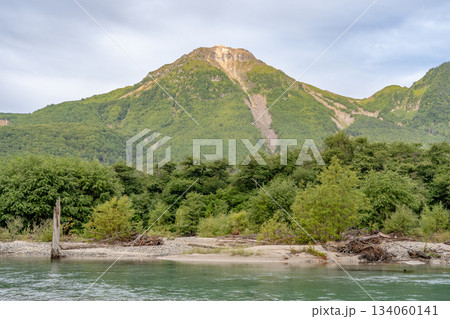 上高地自然遊歩道 森林浴ウォーキング 田代湿原から見上げる焼岳 上高地自然遊歩道 森林浴ウォーキング 田代湿原から見上げる焼岳 134060141