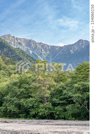 上高地自然遊歩道　森林浴ウォーキング 　梓川から見上げる穂高連峰 134060150
