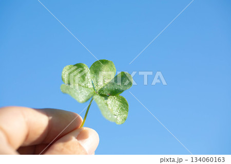 幸せなイメージ 134060163