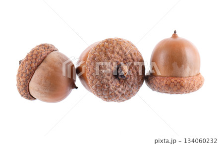 Acorn oak isolated on white background. Ripe brown acorns. Clipping path. Acorn oak isolated on white background. Ripe brown acorns. Clipping path. 134060232
