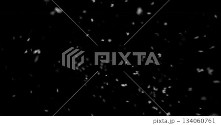 Falling snowflakes isolated on black background. Winter snow overlay texture for VFX, compositing, motion graphics and atmospheric effects Falling snowflakes isolated on black background. Winter snow overlay texture for VFX, compositing, motion graphics and atmospheric effects 134060761