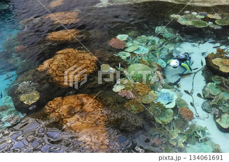 名古屋港水族館 134061691
