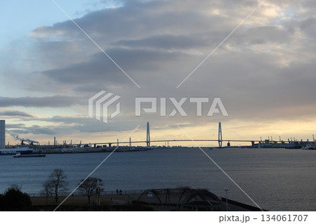 名古屋港水族館 134061707
