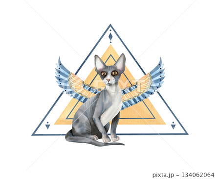 Sphynx cat with wings, sacred animal of Egypt, line art pyramid, triangle symbol. Protective talisman. Ancient religion symbol, goddess icon. Watercolor Bastet isolated clip art. For textile, card Sphynx cat with wings, sacred animal of Egypt, line art pyramid, triangle symbol. Protective talisman. Ancient religion symbol, goddess icon. Watercolor Bastet isolated clip art. For textile, card 134062064