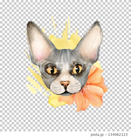 Sphynx cat with orange flower on light yellow watercolor spot. Sphinx head animal with peony. Cute floral kitty character. Spring illustration isolated from background in fashion style, clip art 134062123