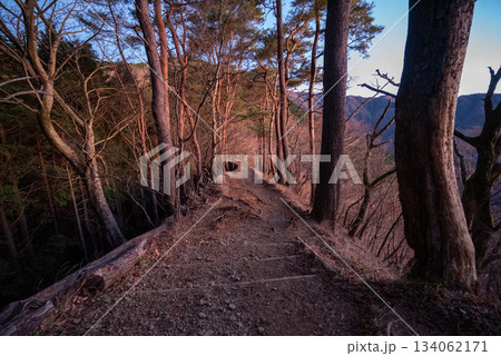 塔ノ岳と丹沢山登山、神奈川県 塔ノ岳と丹沢山登山、神奈川県 134062171