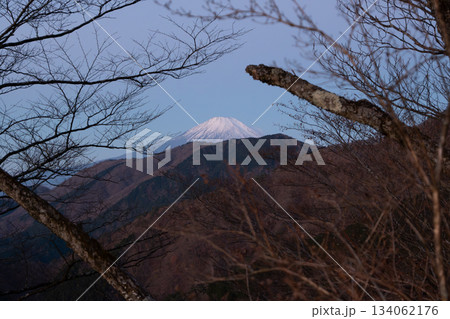 塔ノ岳と丹沢山登山、神奈川県 134062176