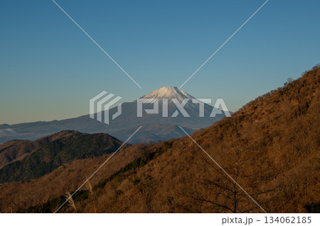 塔ノ岳と丹沢山登山、神奈川県 塔ノ岳と丹沢山登山、神奈川県 134062185
