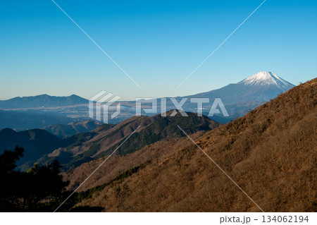 塔ノ岳と丹沢山登山、神奈川県 塔ノ岳と丹沢山登山、神奈川県 134062194