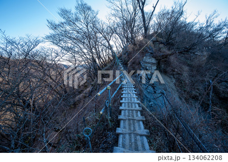塔ノ岳と丹沢山登山、神奈川県 塔ノ岳と丹沢山登山、神奈川県 134062208