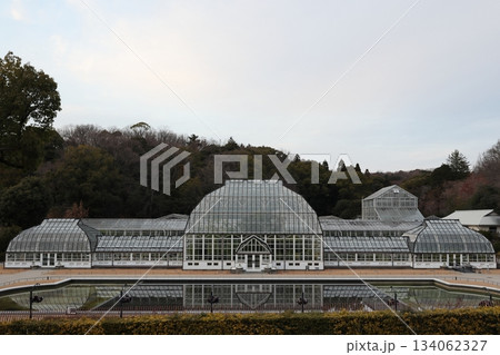 東山動植物園 134062327