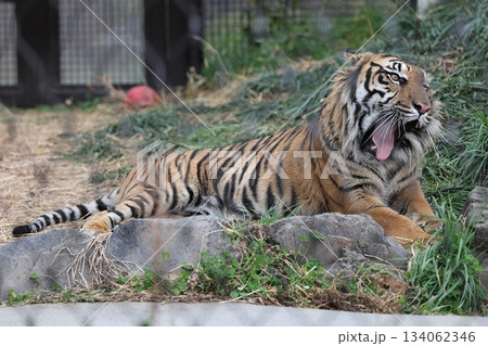 東山動植物園 東山動植物園 134062346