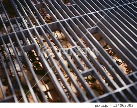 【秋】道端の金網の下に溜まった落ち葉 134062392