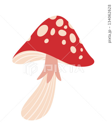 Spotted fly agaric mushroom design 134062628