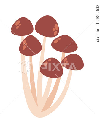 Honey fungus family cute mushrooms 134062632