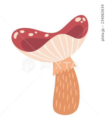 Cute mushroom autumnal fungi element Cute mushroom autumnal fungi element 134062634
