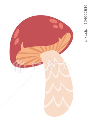 Flywheel mushroom with red cap Flywheel mushroom with red cap 134062636