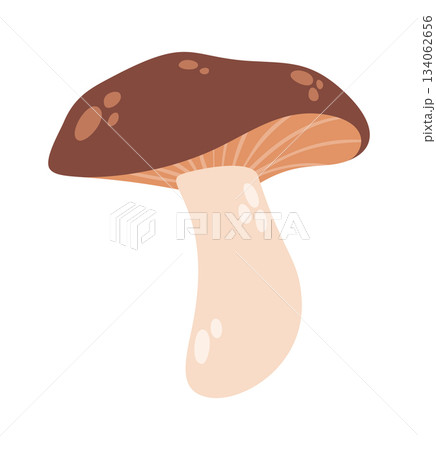 Cute aspen mushroom design element Cute aspen mushroom design element 134062656