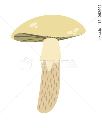 Cute toxic mushroom design element 134062661