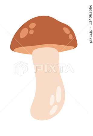 Cute porcini mushroom edible fungi Cute porcini mushroom edible fungi 134062666
