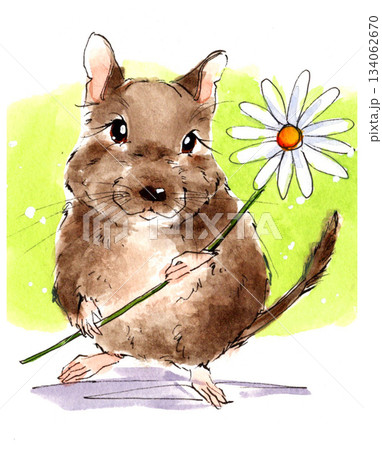 花を持ったデグーのかわいい水彩イラスト 花を持ったデグーのかわいい水彩イラスト 134062670