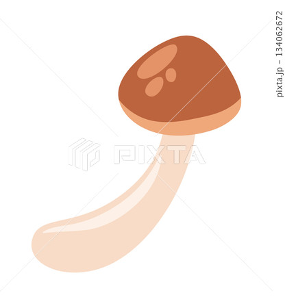 Edible honey fungus natural mushroom 134062672