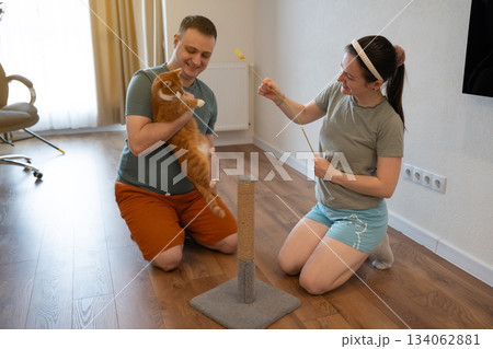 A young caucasian family couple play with their ginger cat in their apartment. Family time together and leisure time. A young caucasian family couple play with their ginger cat in their apartment. Family time together and leisure time. 134062881