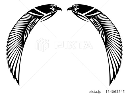 ancient Egyptian Horus god falcon bird black and white vector copy space frame border 134063245