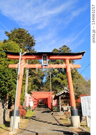 王地山稲荷の赤い鳥居 王地山稲荷の赤い鳥居 134063257